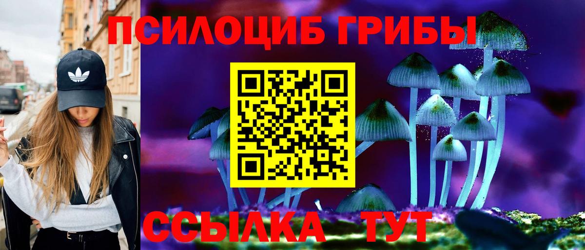Галлюциногенные грибы Magic Shrooms Уссурийск